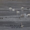 경안천습지생태공원 이미지