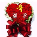 교보생명 부전동 Daum카페