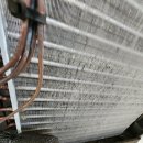 울산중앙의원 이미지