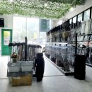 초록스크린골프클럽 이미지