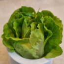 하나로농장-3 이미지