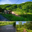 승안천 | 가평 가볼만한곳 용추계곡 연인산 용추구곡 트레킹