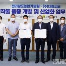 대농양만