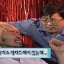 마곡나무 동물병원 이미지