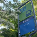 (버스)신장육교 이미지