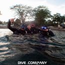 플랑크톤 컴퍼니 이미지