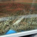 만포수산 이미지