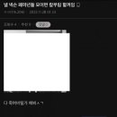 드림디씨