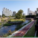 동백호수공원 이미지