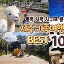 제주도 가족여행 코스 제주도 여행지 여러곳 이미지