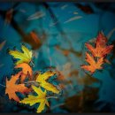 레브(REVE) 이미지