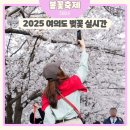 큐브플러스, 한가람푸드 | 서울 여의도 봄꽃축제 윤중로 벚꽃 개화상태 실시간 (가는길 먹거리 꿀팁)