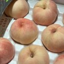 금화 2농장 이미지