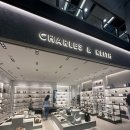 올드 트리 이미지