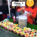 다낭여행 - 1-2편 오행산 & 호이안(호이안 투본강 + 야경투어)