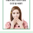 바브네이쳐 네이버블로그
