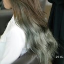 트레보헤어 이미지