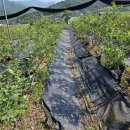 하은농장 이미지