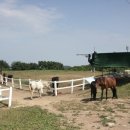 진달래목장 이미지