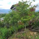 열부의성이씨정려 이미지