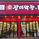 장미 | [경기] 김량장동 맛집 장미막창 내돈내산 후기!