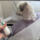 진건산소 네이버블로그