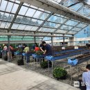 대구광역시농업기술센터 이미지