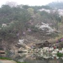 홍제천변길 이미지