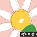 데이지팜