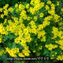 한민농장 이미지