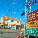 영천민물장어 이미지