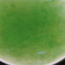 보석감정산업기사 시험스톤 - 42. 염색 녹색 제이다이트(Dyed Green Jadeite) 이미지