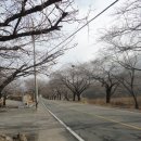 방갈로민박 이미지