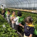 해밀2농장 이미지