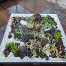 반디유치원 이미지