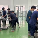 피그월드 동물병원 이미지