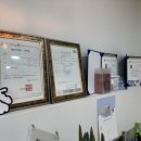 인생댕컷 반려견미용실 이미지