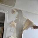 삼성마을4단지(센트럴파크) 이미지