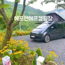 에프앤에프(F&F)캠핑