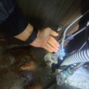 세검정약국 이미지