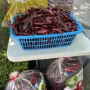 용수골농장 이미지