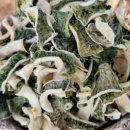 구름다리농장 이미지