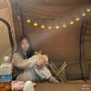 아이놀터 - 10145 | 아이놀터