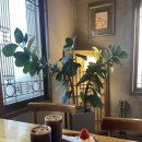 유달리 동복 이미지