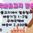 바디블룸(BODY BLOOM) 이미지