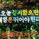 남원주건강생활지원센터 이미지