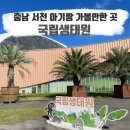 10월 서천독서가치 | 충남 서천 국립생태원 아기랑 가볼만한 곳, 이용요금/할인정보
