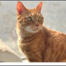 아이조아 요양보호소 서울점 이미지