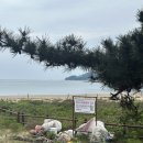 바다사람들 | [지구닦는사람들, 와이퍼스] 태안 바다청소, 바다 플로깅 후기