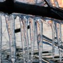 일어(초급) 이미지